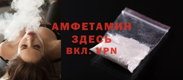 молекула духа Михайлов