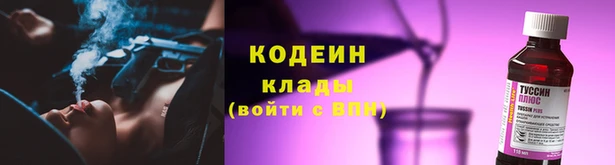 молекула духа Михайлов