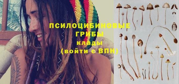 гидропоника Абдулино