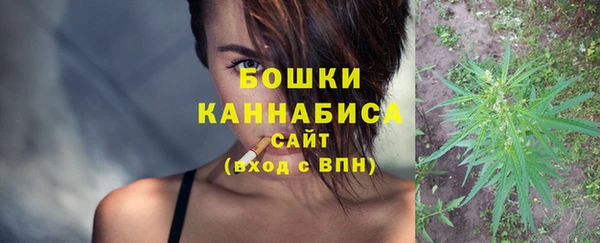 молекула духа Михайлов