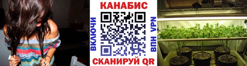 Бошки Шишки план  купить наркоту  Уржум 